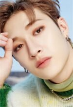 Stray Kids Dicon Dfesta Lomo Cards 9 pcs - Image 2