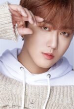 Stray Kids Dicon Dfesta Lomo Cards 9 pcs - Image 4