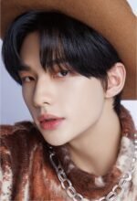 Stray Kids Dicon Dfesta Lomo Cards 9 pcs - Image 5