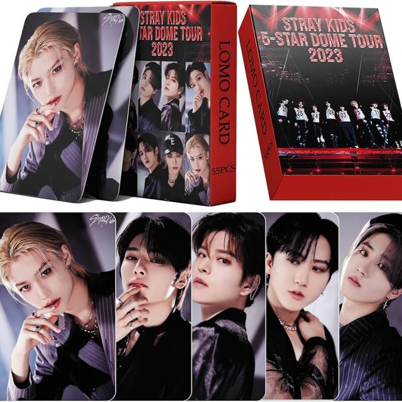 Stray kids 5-star dome tour 2023 LOMO card