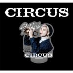 Stray kids CIRCUS Photo Stand - Image 8