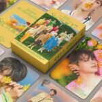 Seventeen Sector 17 LOMO card