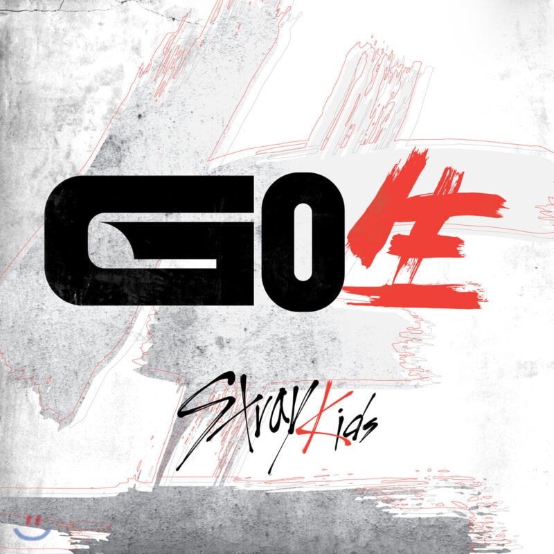 STRAY KIDS - GO生 GO LIVE
